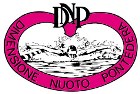 Dimensione Nuoto Pontedera